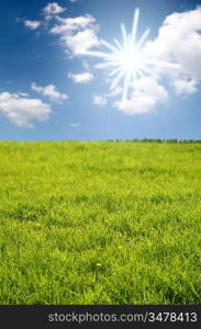 happy landscape sky and grass