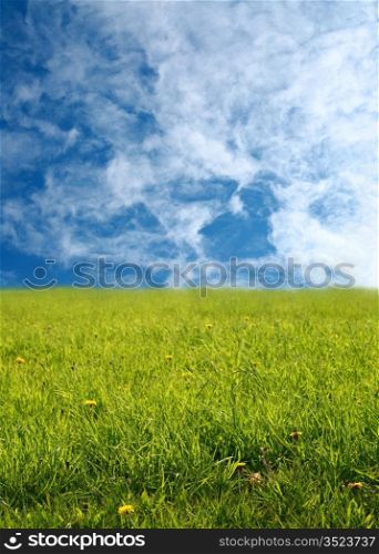 happy landscape sky and grass