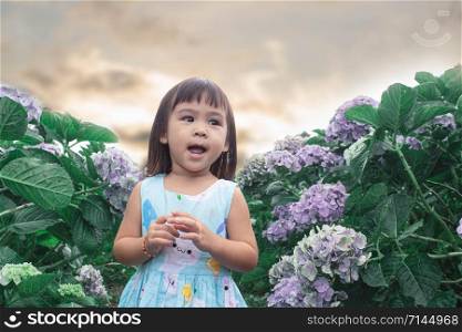 Happy Little Asian child girl having fun to play in hydrangea garden on summer day.