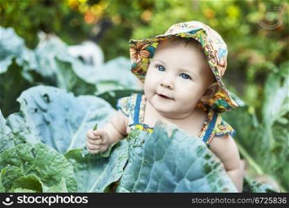 Happy little child in cabbage
