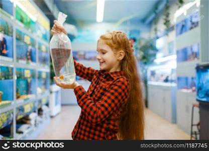 Happy little girl looking on goldfish in pet store. Child buying equipment in petshop, accessories for domestic animals. Happy little girl looking on goldfish in pet store