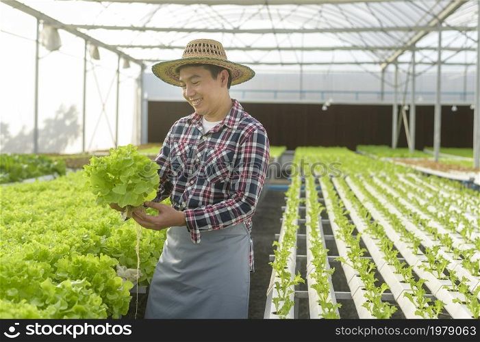 Happy male farmer working in hydroponic greenhouse farm, clean food and healthy eating concept