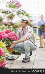 Happy male gardener holding flower pot with colleague standing in background at greenhouse