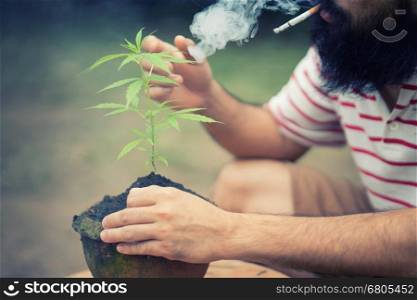 happy man with cannabis plant in a pot