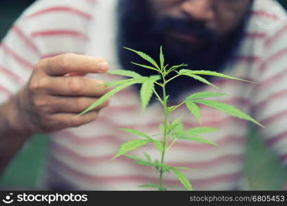 happy man with cannabis plant in a pot