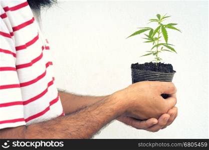happy man with cannabis plant in a pot