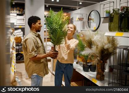 Happy married couple buying decorative palm tree for home interior design in pot at furnishing shop. Happy couple buying decorative potted palm tree