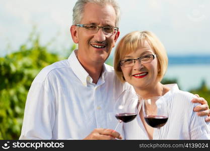 Happy mature couple - senior people (man and woman) already retired - drinking wine at lake in summer