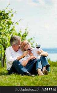 Happy mature couple - senior people (man and woman) already retired - drinking wine at lake in summer