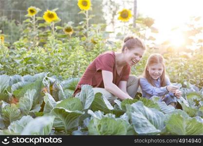 Happy mother and daughter harvesting organic cabbages at farm