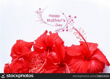 happy mothers day greeting card with flower