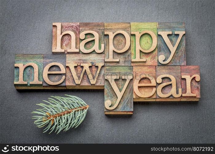 Happy New Year - text in letterpress wood type blocks on a slate stone background with a branch of Colorado silver spruce