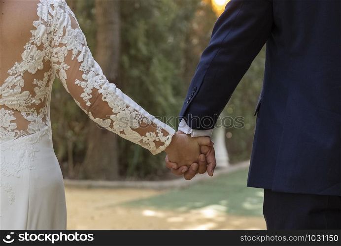 Happy newly married couple holding hands walking in a park