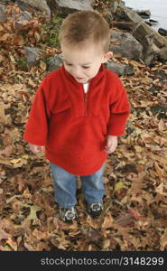 Happy one year old boy in red sweater walking in leaves.