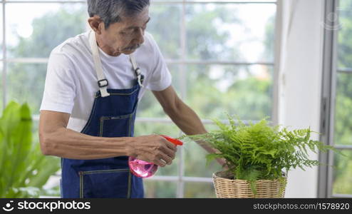 happy senior asian retired man spraying and watering tree enjoys leisure activity at home