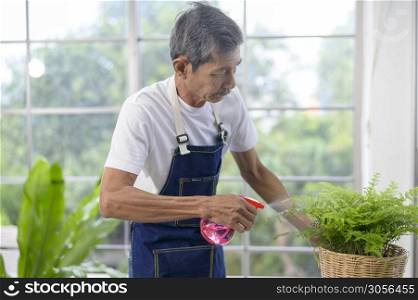 happy senior asian retired man spraying and watering tree enjoys leisure activity at home