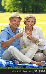 Happy senior couple drinking wine in park sunny day
