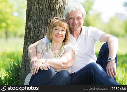 Happy senior couple in the park in summer day sitting under tree. Happy senior couple in park