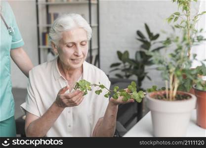 happy senior woman looking ivy growing pot