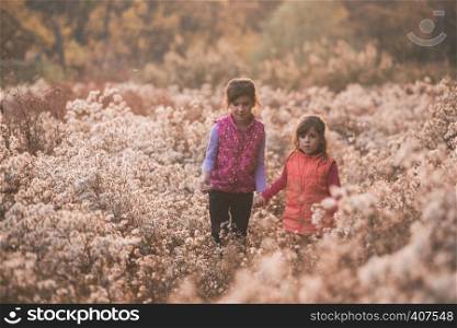 happy sister girls walks in the fields of fluffy dandelions at sunset