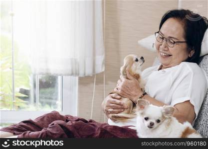 Happy smile asian senior woman with her dogs on couch inside of her house.