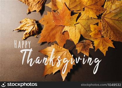 Happy Thanksgiving Day with Maple leave and text