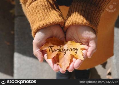 Happy Thanksgiving Day with Maple leave on woman hand and text