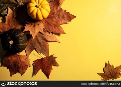 Happy Thanksgiving Day with maple leaves and pumpkin on yellow background