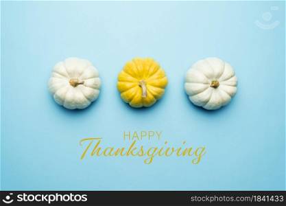 Happy Thanksgiving Day with pumpkin and nut on blue background