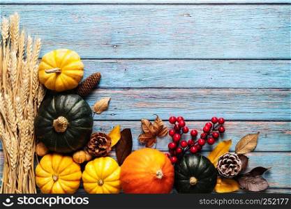 Happy Thanksgiving Day with pumpkin and nut on blue wooden background