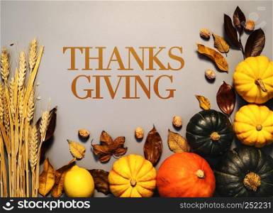 Happy Thanksgiving Day with pumpkin and nut on gray background