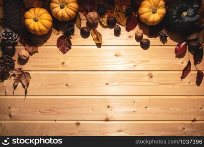 Happy Thanksgiving Day with pumpkin and nut on wooden background