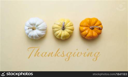 Happy Thanksgiving Day with pumpkin and nut on yellow background