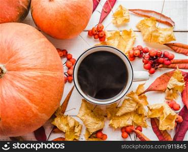 Happy Thanksgiving. Ripe pumpkins, autumn leaves and a cup of hot coffee. Preparing for the holidays. View from above, close-up. Congratulations to loved ones, family, relatives, friends, colleagues. Pumpkins, autumn leaves and a cup of coffee