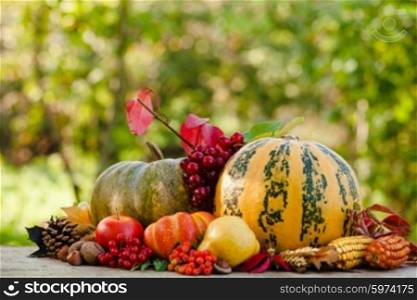 Happy Thanksgiving still life. Fruits, nuts and vegetables, fall crop on the table outdoor