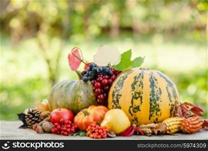 Happy Thanksgiving still life. Fruits, nuts and vegetables, fall crop on the table outdoor