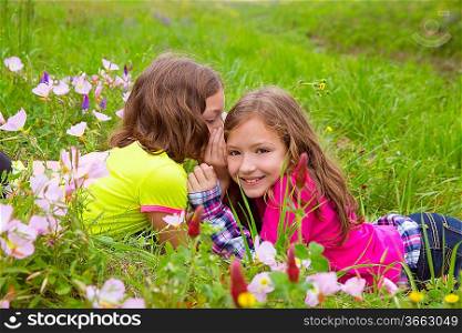 happy twin sister girls playing whispering ear on spring flowers meadow