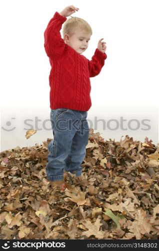 Happy two year old boy playing in leaves.