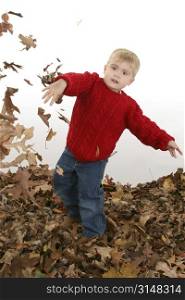 Happy two year old boy playing in leaves.
