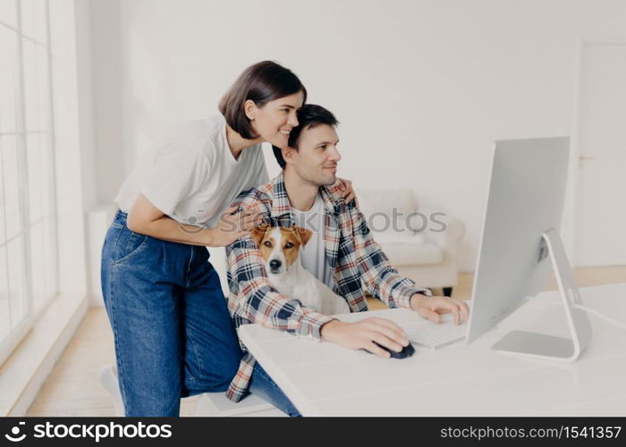 Happy wife in white t shirt and jeans, embraces husband who works at computer, helps him with making report, focused in monitor, domestic pedigree dog poses on owners knees. Working process.