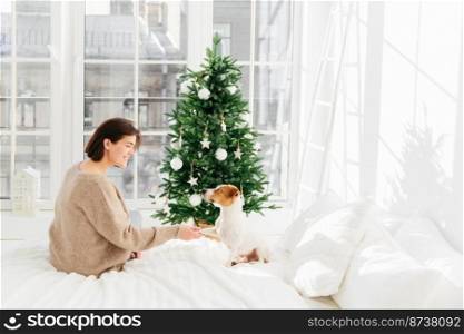Happy winter holidays concept. Positive beautiful woman plays with dog, dressed in casual wear, pose on bed in cozy bedroom, have rest after decoration of New Year tree. Christmas time with lovely pet