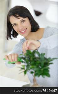 happy woman cutting plants at workplace