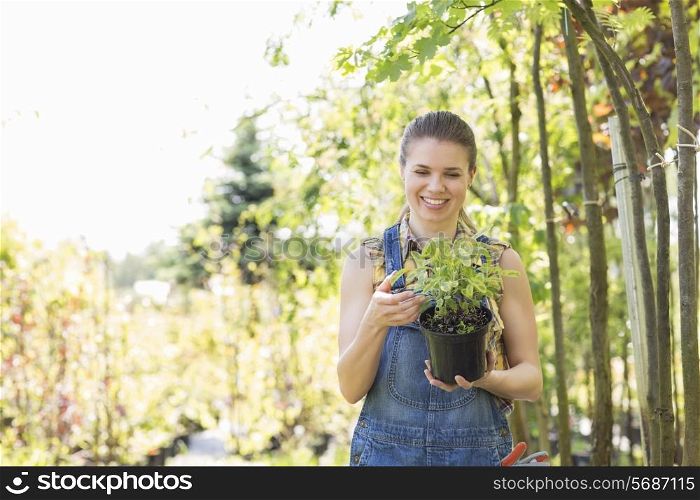 Happy woman looking at potted plant in garden