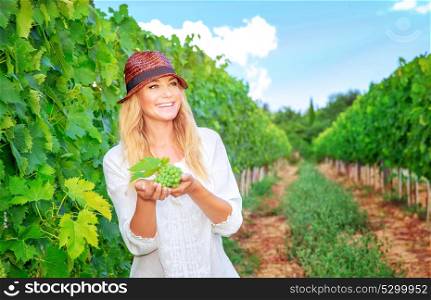 Happy woman on the vineyard, picking fresh ripe grape bunches, tasty sweet fruits, autumn harvest season, winemaking concept