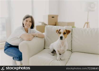 Happy woman plays with favourite pet, poses near sofa in new apartment, celebrate Moving Day, bought new house, pose in spacious white living room, settling furniture, think about interior design