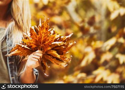Happy woman with beautiful bouquet of a dry maple leaves in bright sunny day in autumn park, enjoying fall vacation