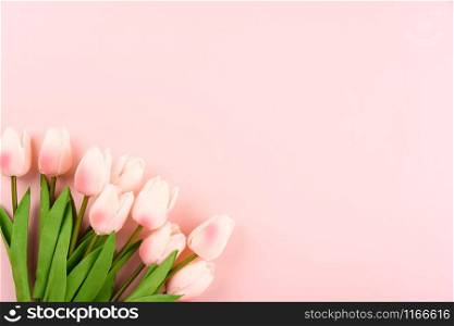 Happy Women&rsquo;s Day, Mother&rsquo;s Day concept. top view flat lay Tulip flower on pink background, copy space for your text