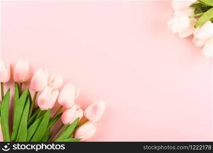 Happy Women&rsquo;s Day, Mother&rsquo;s Day concept. top view flat lay Tulip flower on pink background, copy space for your text