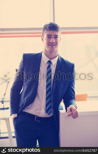 happy young business man portrait in bright modern office indoor