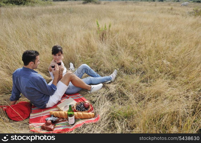 happy young couple enjoying picnic on the countryside in the field and have good time